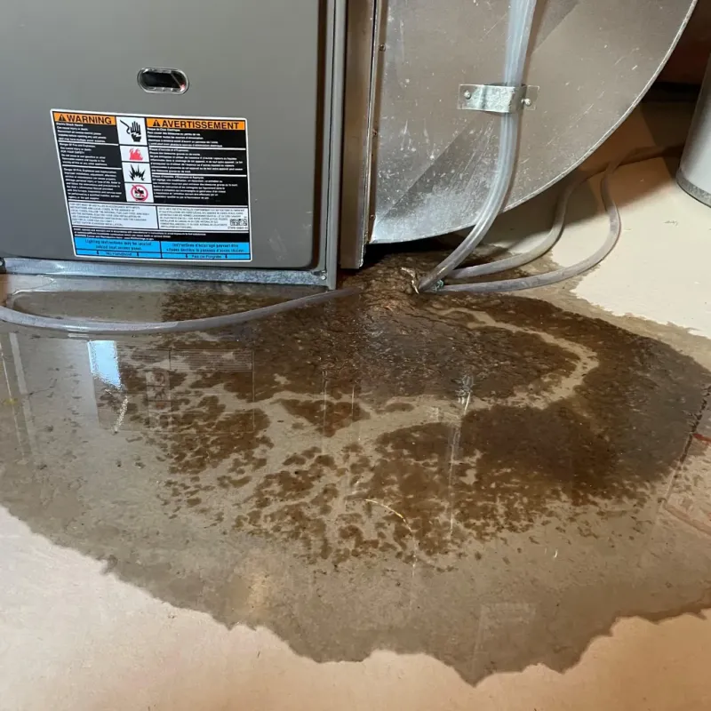 Appliance Leak Cleanup in Floyd County, IN